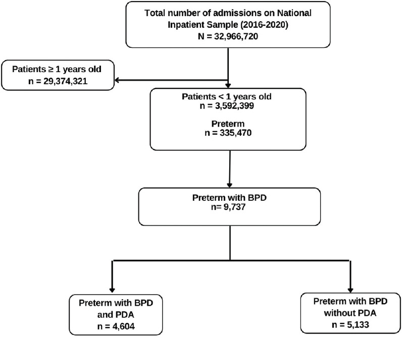 Exploring the relation between patent ductus arteriosus and bronchopulmonary dysplasia: Insights from national inpatient sample.