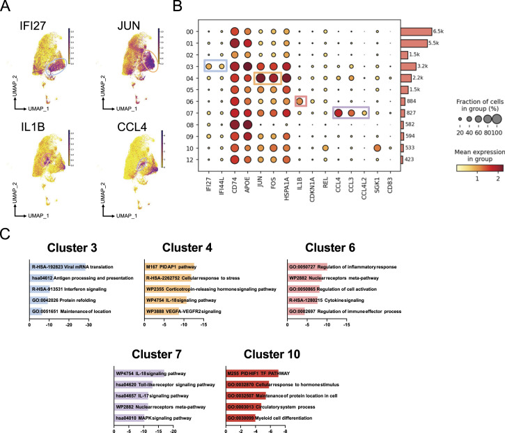 Gene expression and chromatin conformation of microglia in virally suppressed people with HIV.