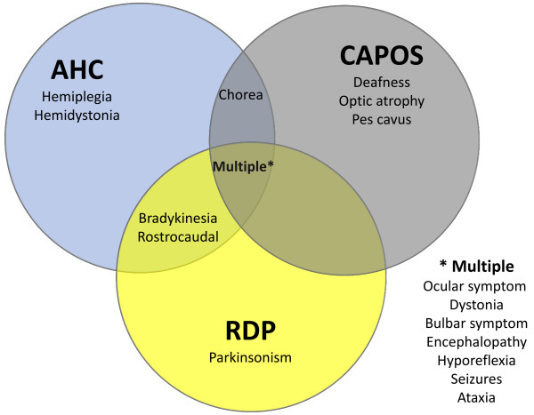 Navigating the Complexity of Alternating Hemiplegia in Childhood: A Comprehensive Review.
