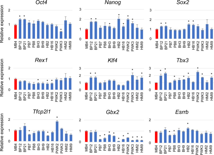 Inter-subspecies mouse F1 hybrid embryonic stem cell lines newly established for studies of allelic imbalance in gene expression.