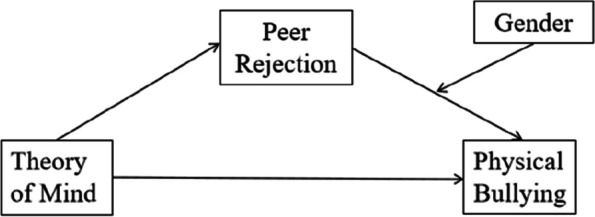 Theory of Mind and physical bullying in preschool children: the role of peer rejection and gender differences.