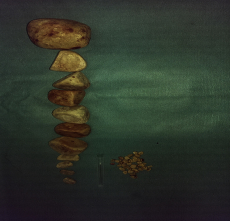 Abstract Image