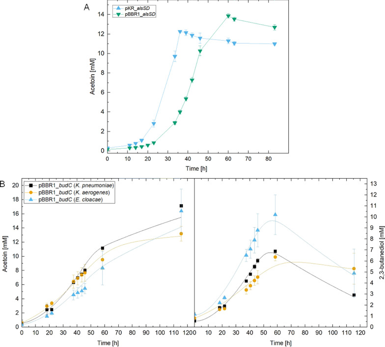 Strain and model development for auto- and heterotrophic 2,3-butanediol production using Cupriavidus necator H16