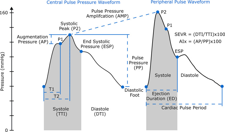 Validation of Noninvasive Derivation of the Central Aortic Pressure Waveform from Fingertip Photoplethysmography Using a Novel Selective Transfer Function Method.