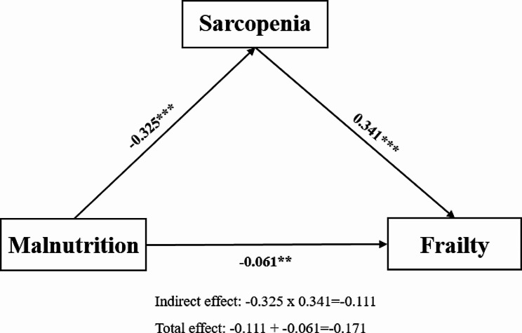 Exploring the complex associations among risks of malnutrition, sarcopenia, and frailty in community-dwelling older adults.