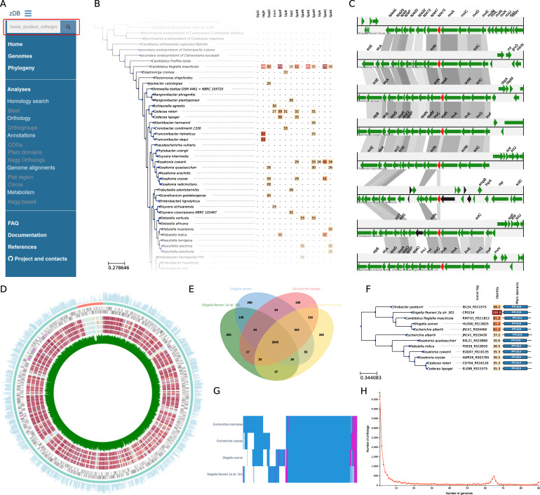 zDB: bacterial comparative genomics made easy.