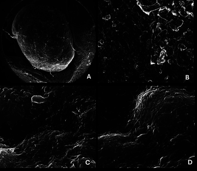 Abstract Image