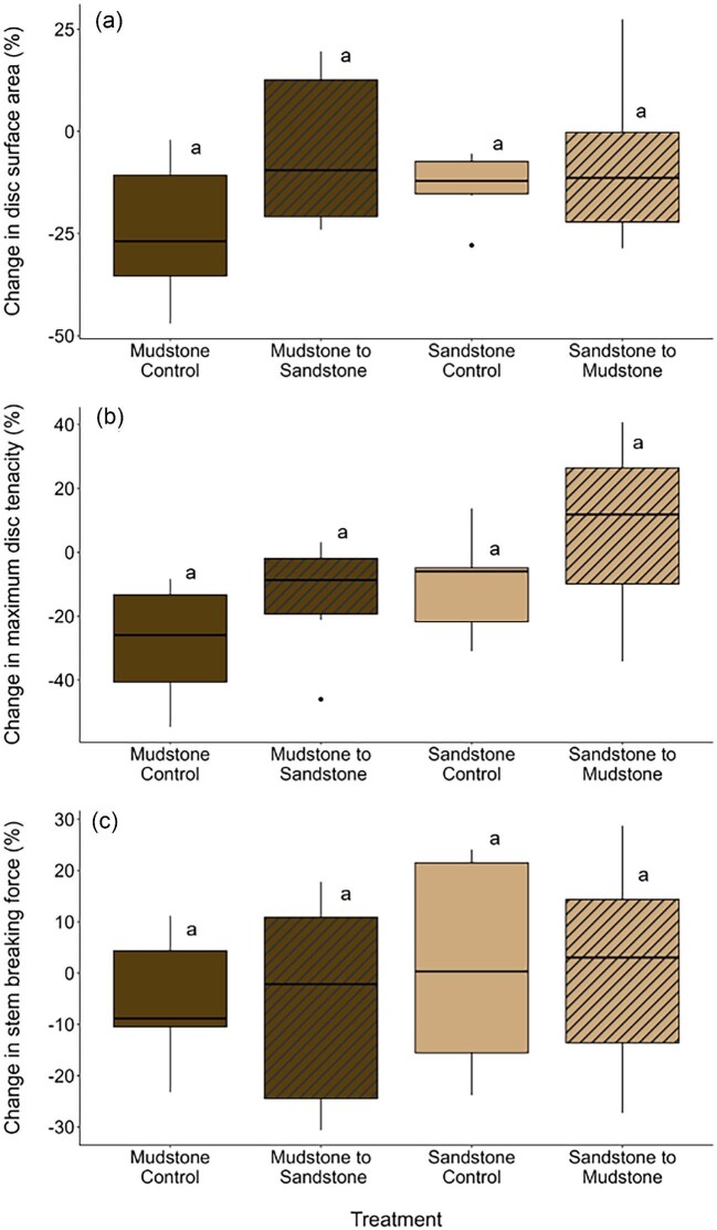 Morphological and Mechanical Tube Feet Plasticity among Populations of Sea Urchin (<i>Strongylocentrotus purpuratus</i>).