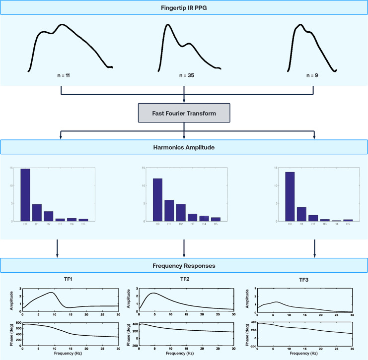 Validation of Noninvasive Derivation of the Central Aortic Pressure Waveform from Fingertip Photoplethysmography Using a Novel Selective Transfer Function Method.