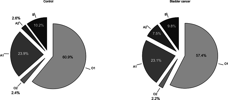 ABO Blood Type and Urinary Bladder Cancer: Phenotype, Genotype, Allelic Association with a Clinical or Histological Stage and Recurrence Rate.