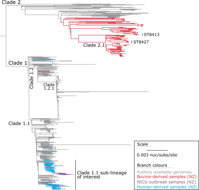 Rapid identification and subsequent contextualization of an outbreak of methicillin-resistant <i>Staphylococcus aureus</i> in a neonatal intensive care unit using nanopore sequencing.
