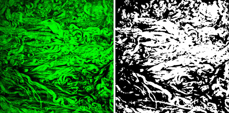 Abstract Image