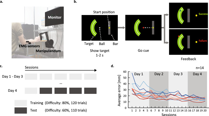 Pre-movement muscle co-contraction associated with motor performance deterioration under high reward conditions.