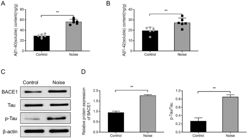 Noise Exposure Promotes Alzheimer's Disease-Like Lesions and DNA Damage.