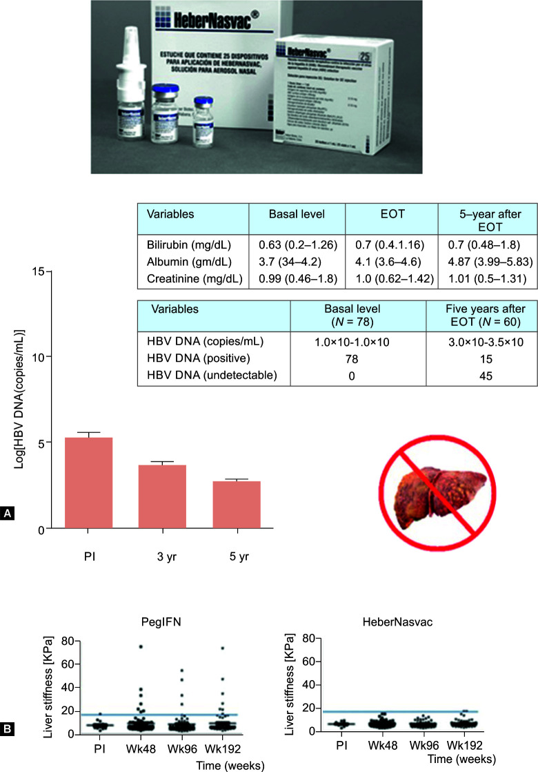 HeberNasvac: Development and Application in the Context of Chronic Hepatitis B.