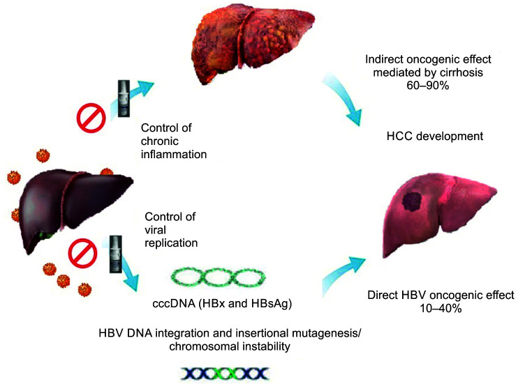 HeberNasvac: Development and Application in the Context of Chronic Hepatitis B.