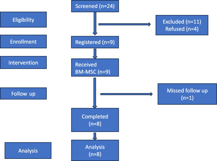 Stem cell therapy in diabetic men with erectile dysfunction: a 24-month follow-up of safety and efficacy of two intracavernous autologous bone marrow derived mesenchymal stem cells injections, an open label phase 2 clinical trial.