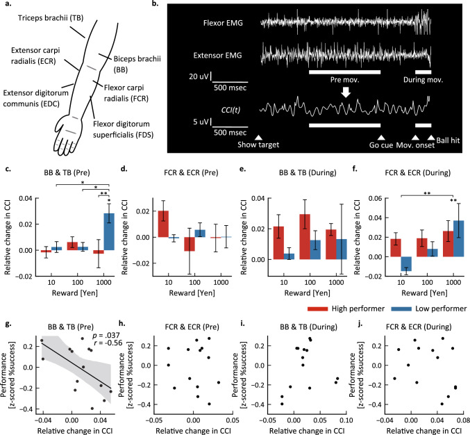 Pre-movement muscle co-contraction associated with motor performance deterioration under high reward conditions.