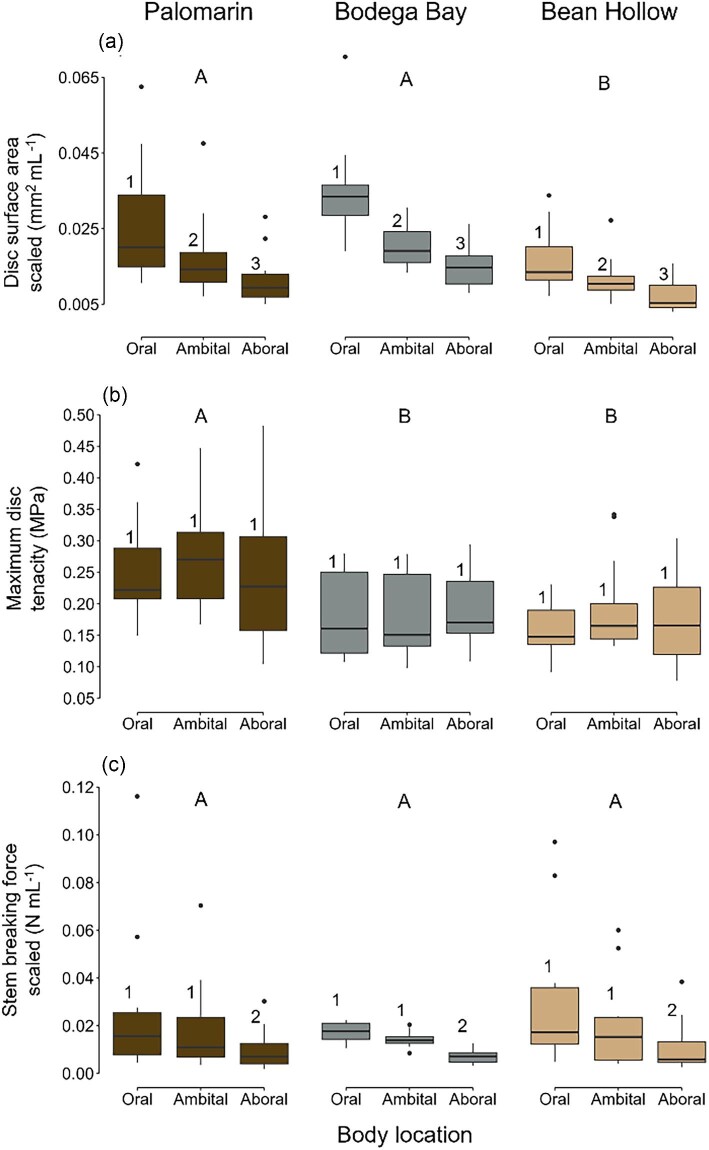 Morphological and Mechanical Tube Feet Plasticity among Populations of Sea Urchin (<i>Strongylocentrotus purpuratus</i>).