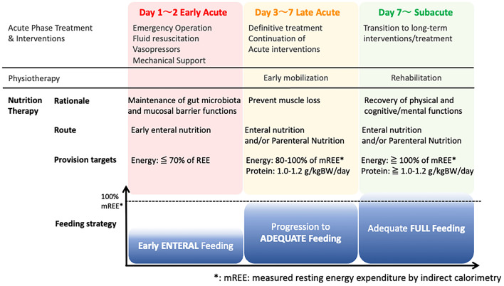 Nutritional therapy for the prevention of post-intensive care syndrome.