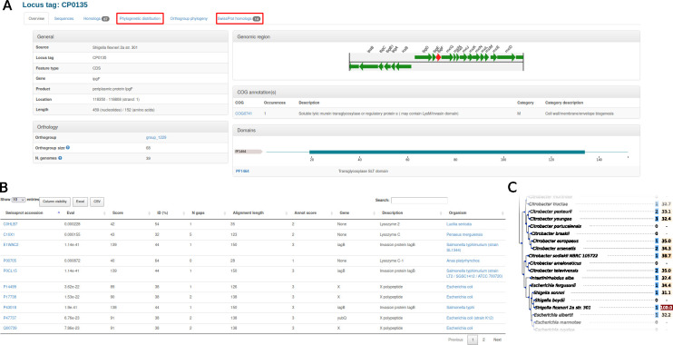 zDB: bacterial comparative genomics made easy.