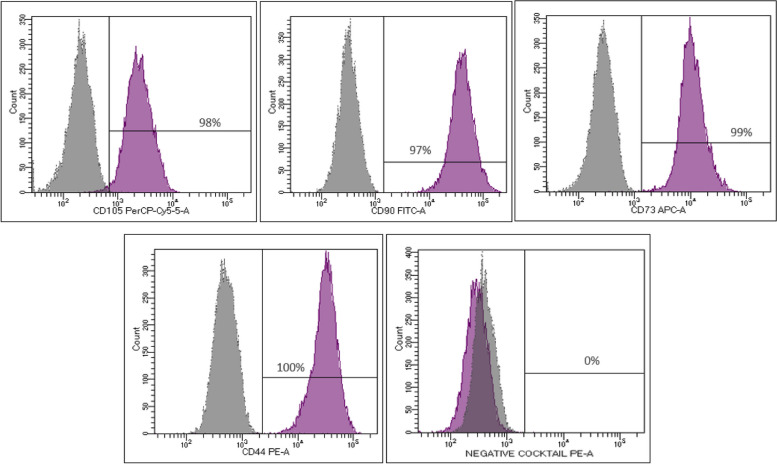 Stem cell therapy in diabetic men with erectile dysfunction: a 24-month follow-up of safety and efficacy of two intracavernous autologous bone marrow derived mesenchymal stem cells injections, an open label phase 2 clinical trial.