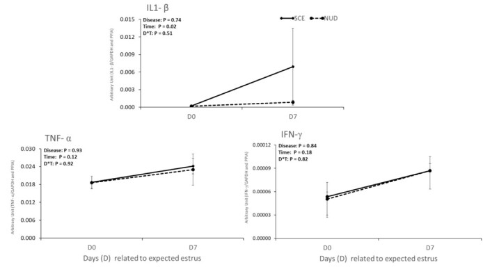 Influence of sub-clinical endometritis on early pregnancy predictors and proinflammatory cytokines in circulating immune cells in dairy cows.