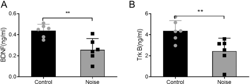 Noise Exposure Promotes Alzheimer's Disease-Like Lesions and DNA Damage.