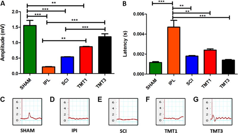 Exercise Volume Can Modulate the Regenerative Response to Spinal Cord Injury in Mice.