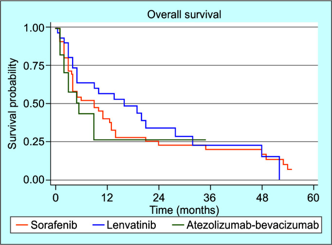 Overall Survival and the Impact of Albumin-bilirubin Grade in Patients with Advanced Hepatocellular Carcinoma: Data from a Tertiary Care Hospital in a Lower-middle-income Country.