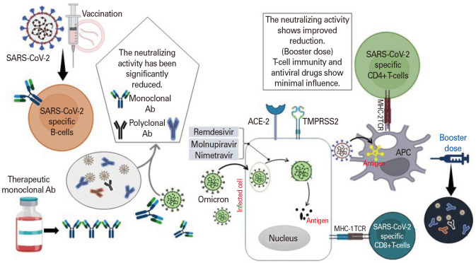 The influence of Omicron on vaccine efficacy and durability: a neurology perspective.