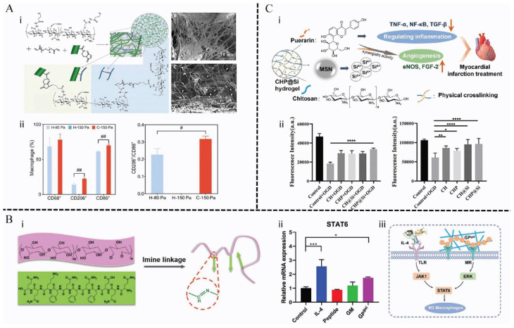 Immunomodulation in diabetic wounds healing: The intersection of macrophage reprogramming and immunotherapeutic hydrogels.
