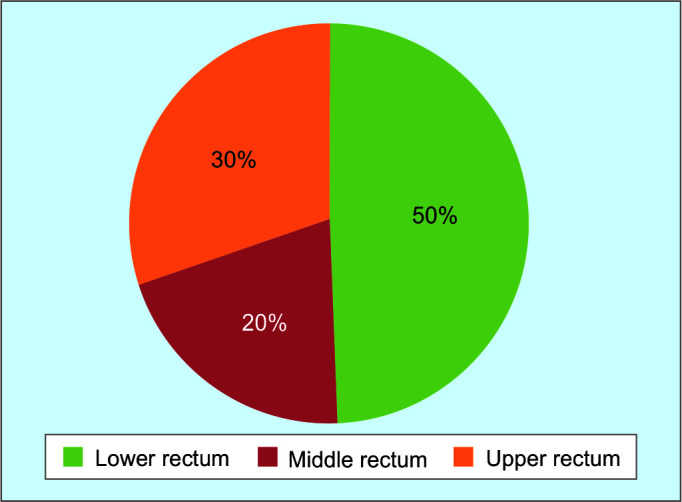 Epidemiology of Rectal Cancer Patients in the Kingdom of Bahrain: A Retrospective Cohort Study.