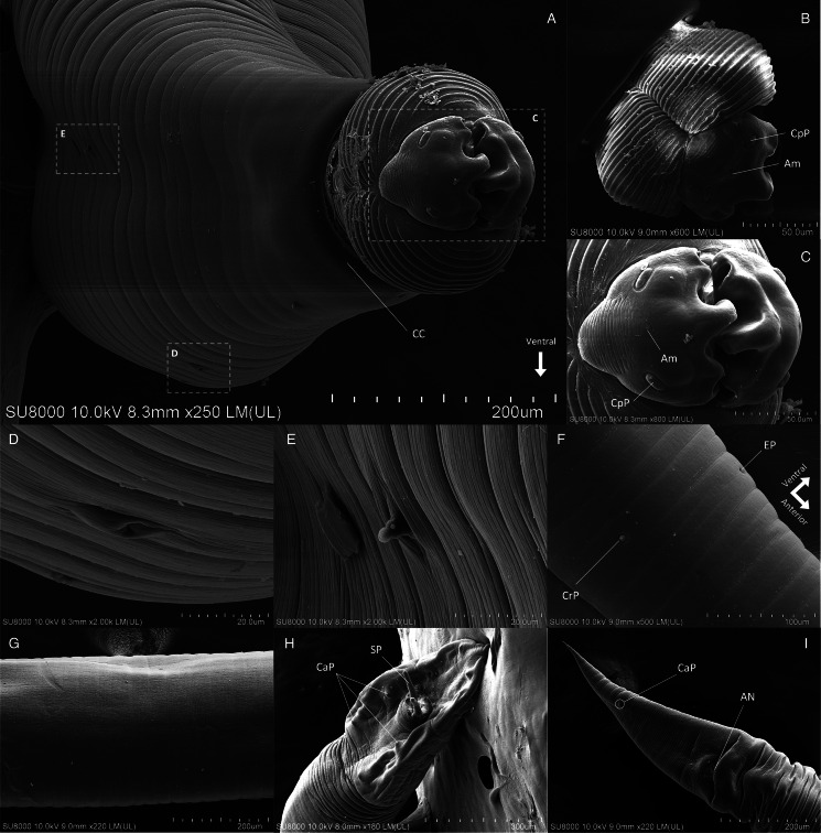 Abstract Image
