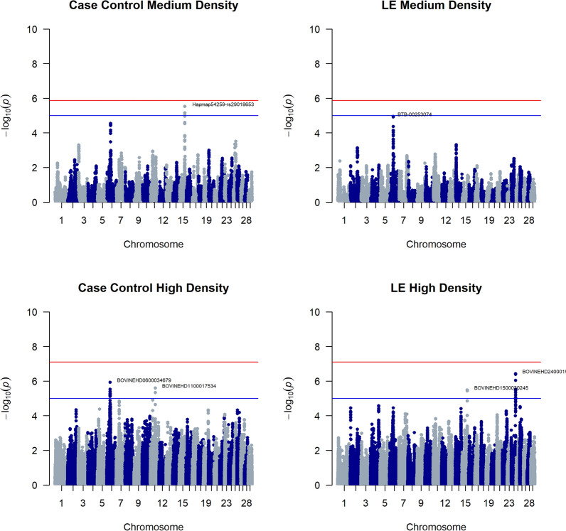 Genetic and genomic analysis of Belgian Blue's susceptibility for psoroptic mange.