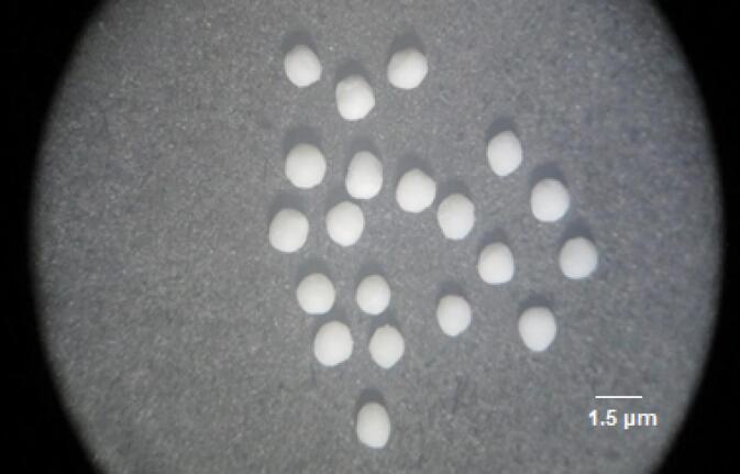 Preparation and evaluation of lipid-based sustained release pellets of chlorpheniramine maleate by the wet extrusion-spheronization method.