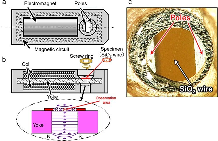 Electron holography observation of electron spin polarization around charged insulating wire.