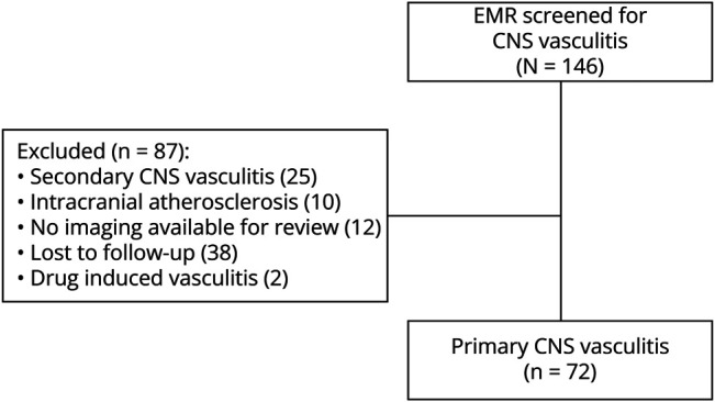 Primary Angiitis of the CNS: Differences in the Profile Between Subtypes and Outcomes From an Indian Cohort.