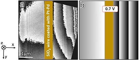 Electron holography observation of electron spin polarization around charged insulating wire.