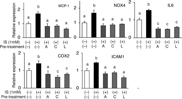 Natural antagonistic flavones for AhR inhibit indoxyl sulfate-induced inflammatory gene expression <i>in vitro</i> and renal pathological damages <i>in vivo</i>.