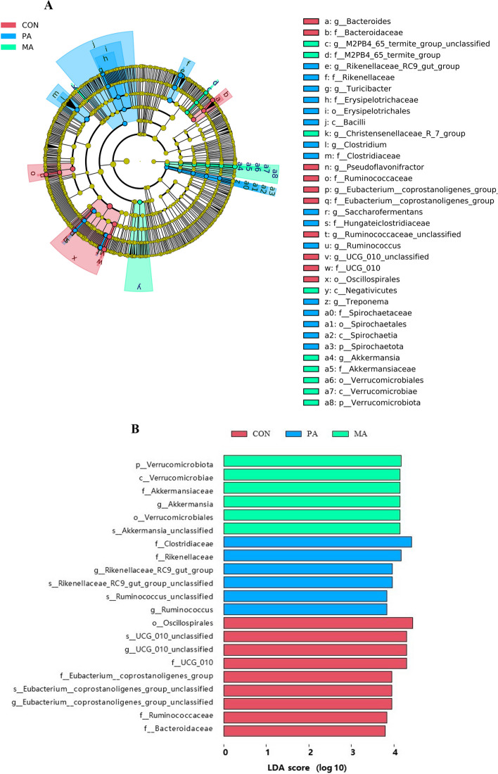 Effects of altering the ratio of C16:0 and cis-9 C18:1 in rumen bypass fat on growth performance, lipid metabolism, intestinal barrier, cecal microbiota, and inflammation in fattening bulls.