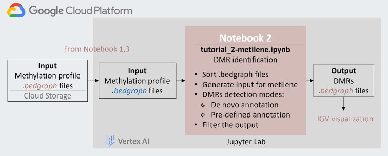 Whole-genome bisulfite sequencing data analysis learning module on Google Cloud Platform.