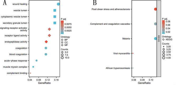 Resistin as a potential diagnostic biomarker for sepsis: insights from DIA and ELISA analyses.