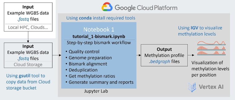 Whole-genome bisulfite sequencing data analysis learning module on Google Cloud Platform.