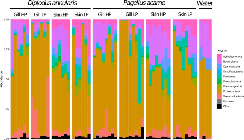 Link between bacterial communities and contrasted loads in ectoparasitic monogeneans from the external mucus of two wild sparid species (Teleostei).