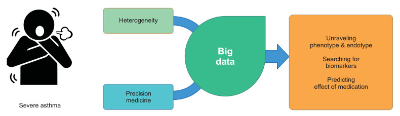 Big Data Research on Severe Asthma.