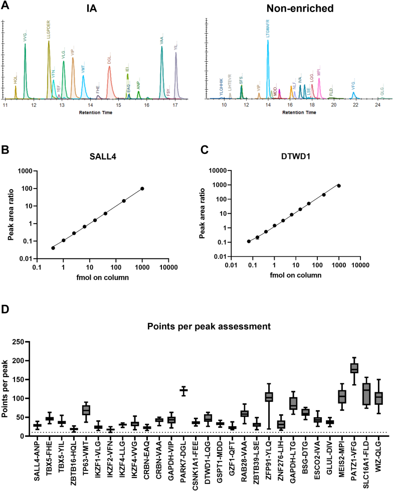 Abstract Image