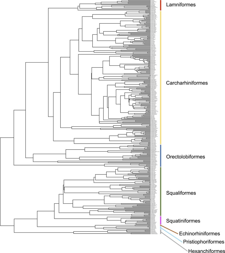 Sharks Violate Rensch's Rule for Sexual Size Dimorphism.