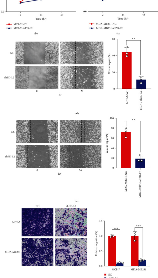 PD-L2 Expression in Breast Cancer Promotes Tumor Development and Progression.