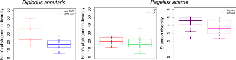 Link between bacterial communities and contrasted loads in ectoparasitic monogeneans from the external mucus of two wild sparid species (Teleostei).